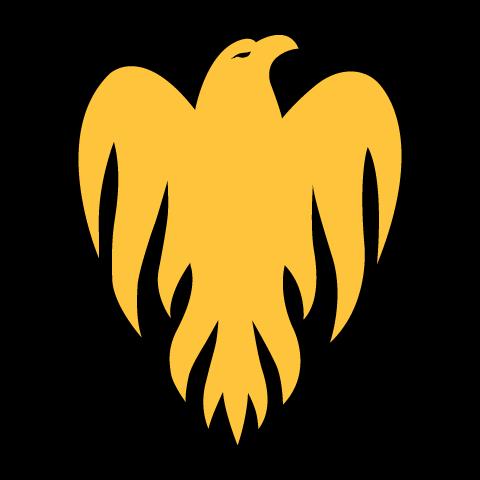 Wellington Firebirds